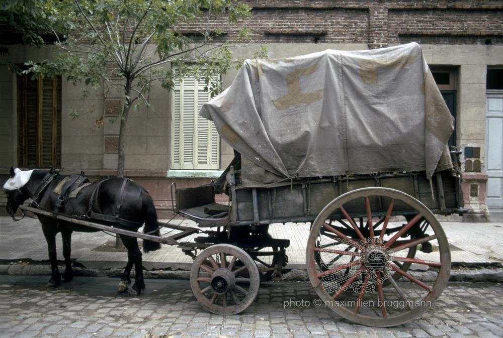 Family on Horse Pulled Cart in Cordoba City, Argentina Editorial Stock  Photo - Image of neighborhood, family: 192831243