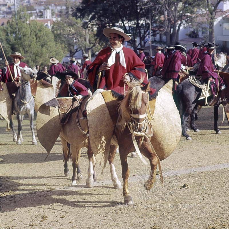 Gaucho Boleadora Traditional Argentinian Lasso With Balls 