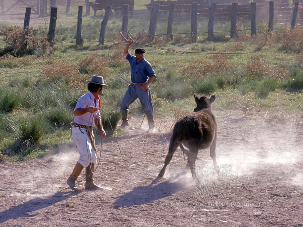 Stream Lasso gaucho en Argentine by BloupTrotters_blog