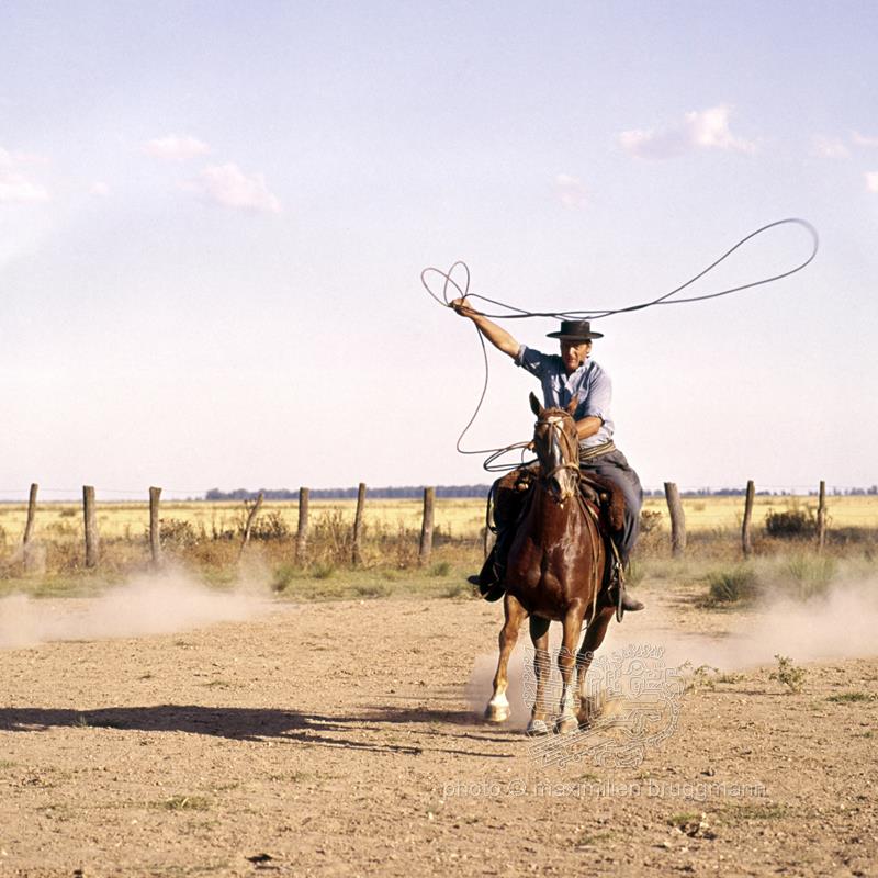 Gaucho Boleadora Traditional Argentinian Lasso With Balls 